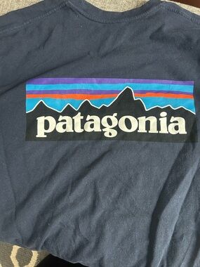Patagonia Logo Mountain Graphic Tee - Navy with Bright Stripes